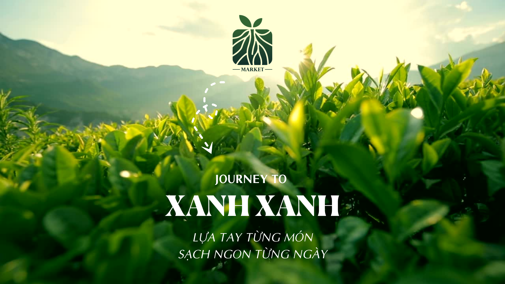  XANH XANH 